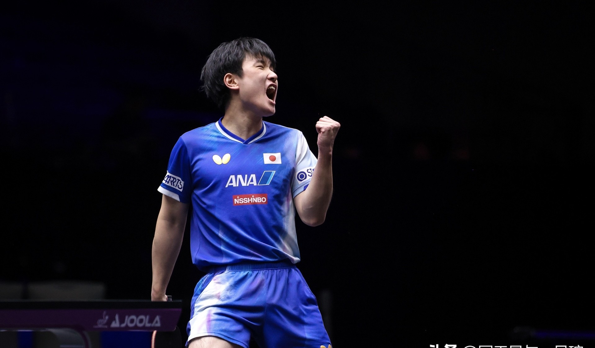 爱游戏2026-日本队横扫奥地利队，张本智和刷新纪录